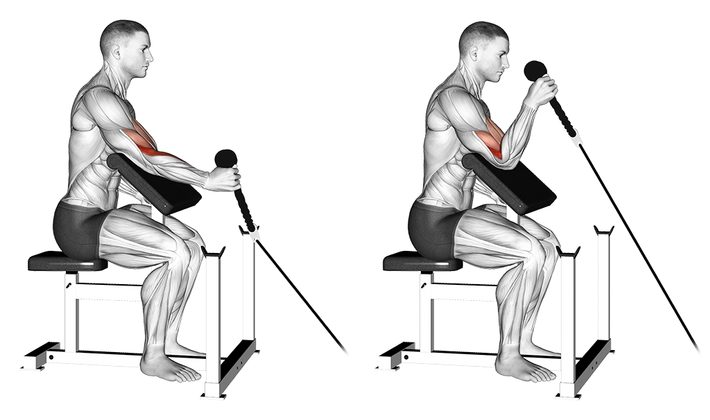 Hammer Preacher Curl - One Arm (Cable: Rope)