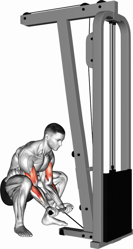 Cable Squatting Curl