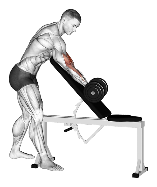 Zottman Preacher Curl - One Arm (Dumbbell)