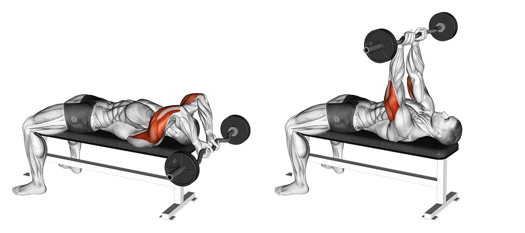 Triceps Extension Skullcrusher - Lying, Close Grip (EZ Bar)