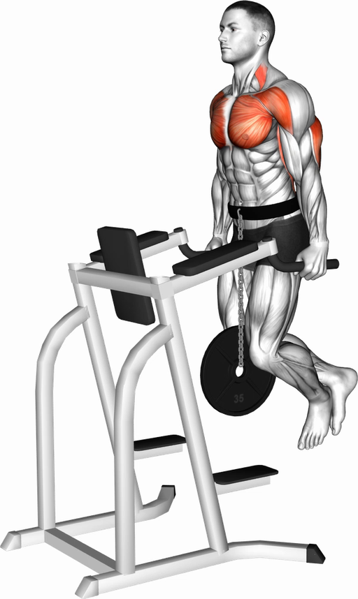 Chest Dip (Weighted)