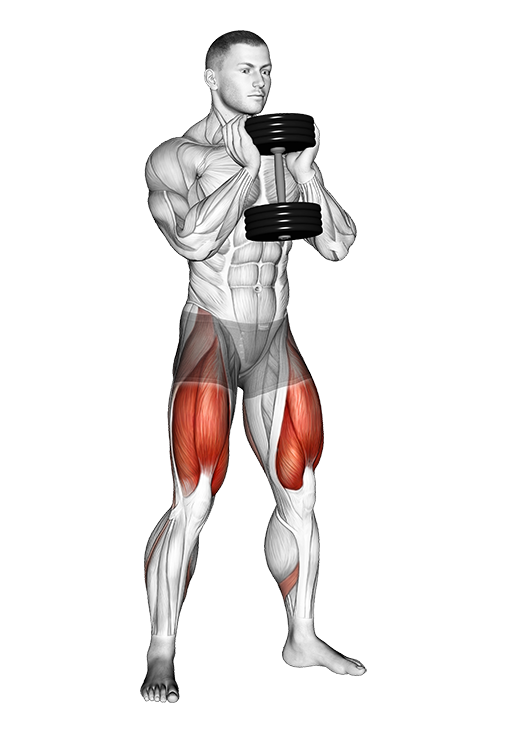 Goblet Squat (Dumbbell)