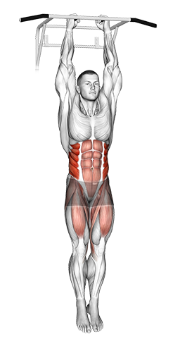 Hanging Oblique Knee Raise
