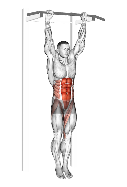 Hanging Leg Hip Raise