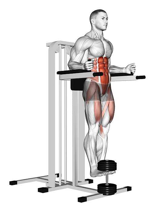 Captains Chair Leg Raise (Weighted)