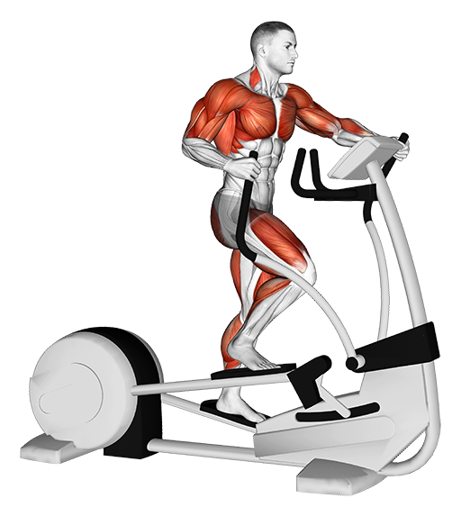Walk Elliptical Cross Trainer