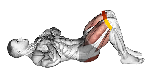 Resistance Glute Bridge (Band)
