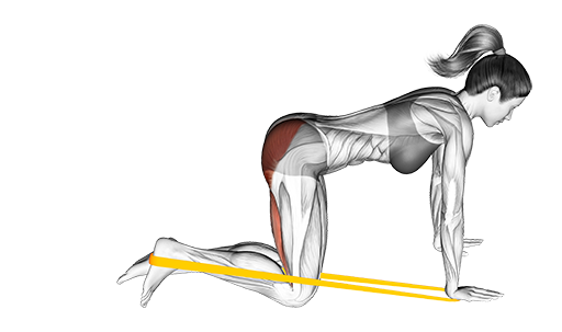 Resistance Leg Kickback (Band)