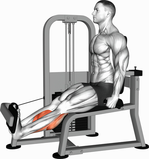 Calf Extension (Machine)