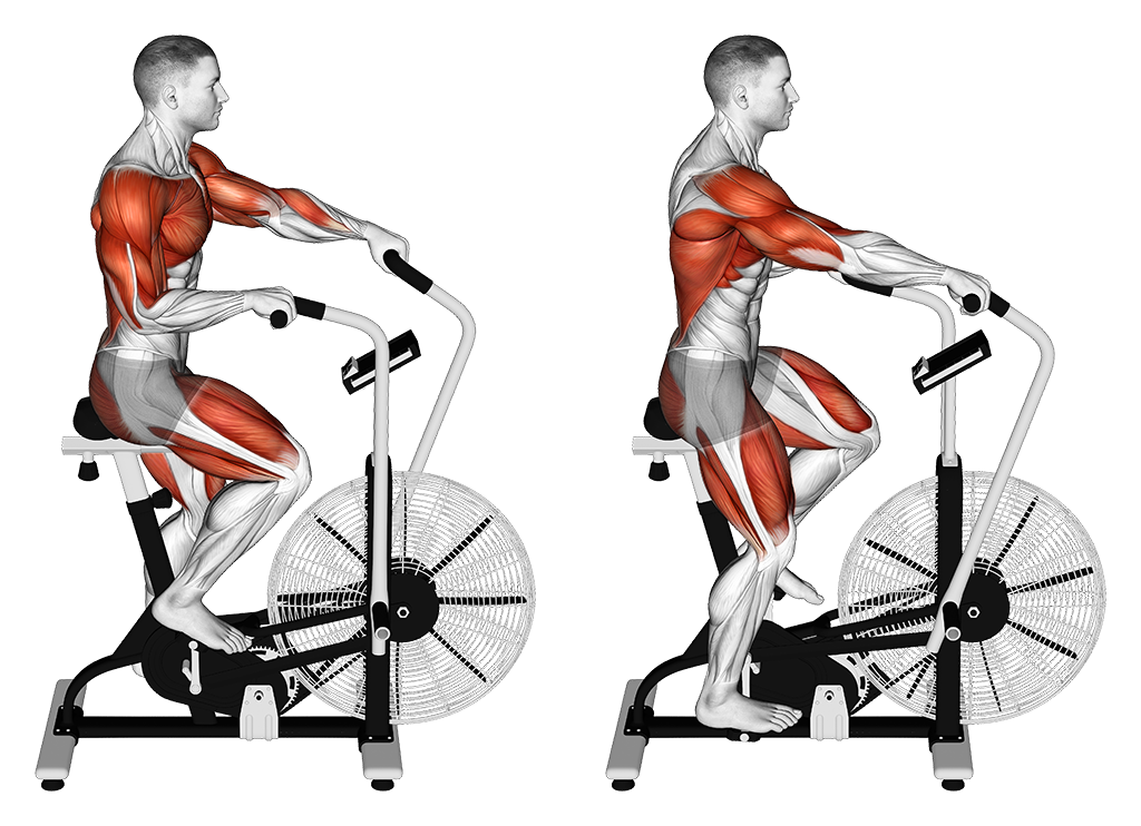 Cycle Cross Trainer