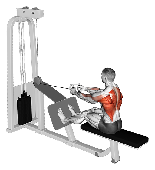 Row - Seated (Cable: V Bar)