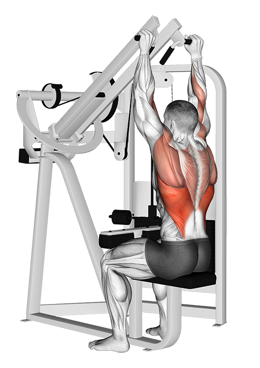 Lat Pulldown - Wide (Machine)
