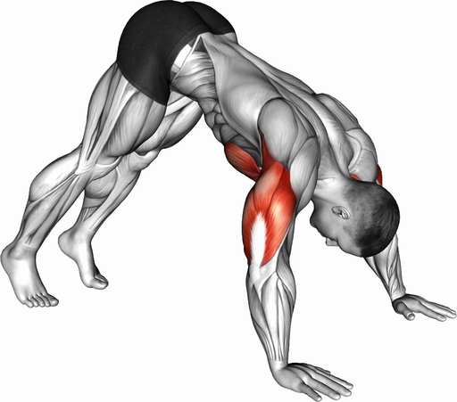 Pike Pushup