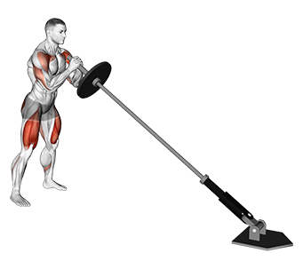 Landmine Squat And Press