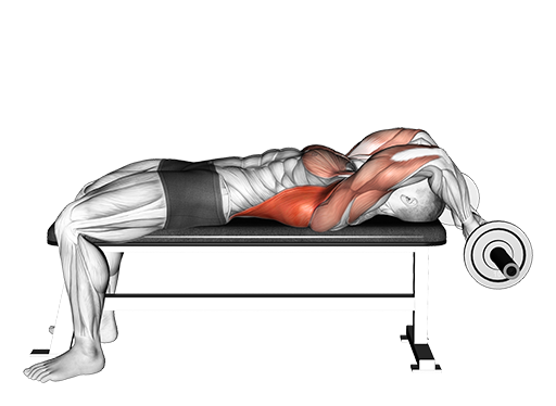 Bent Arms Pullover - Lying (EZ Bar)
