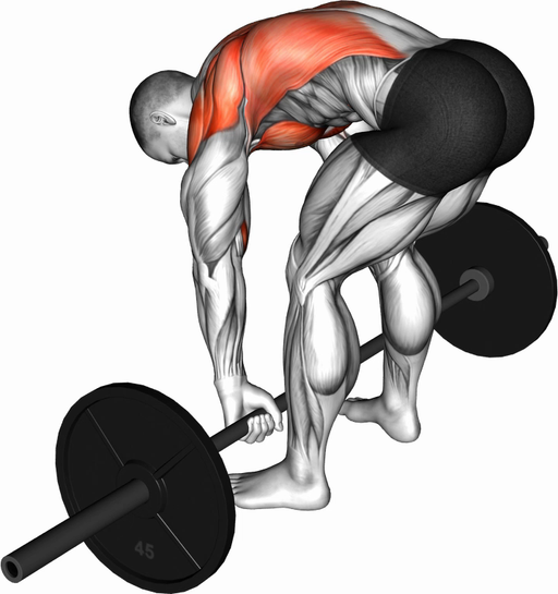 Pendlay Row (Barbell)