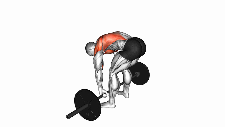 Pendlay Row (Barbell)