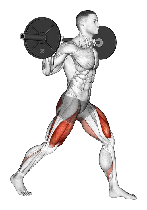 Split Squat (Barbell)
