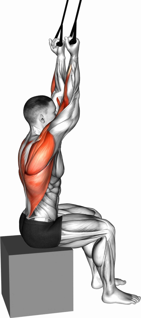 Lat Pulldown (Band)