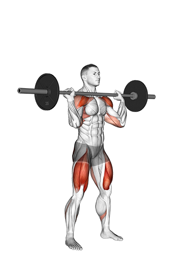 Thruster (Barbell)