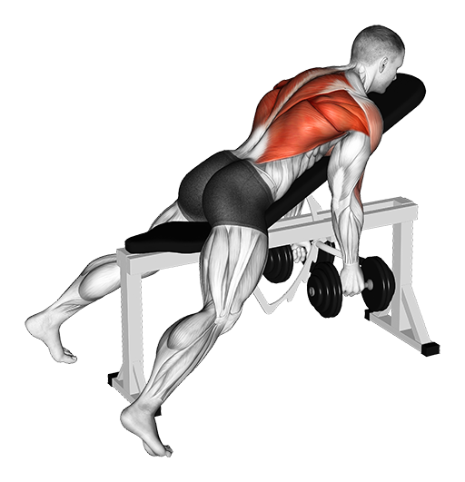 Incline Bench Row - Hammer Grip (Dumbbell)