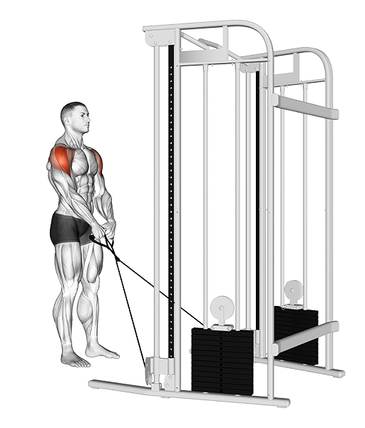 Y-Raise (Cable)