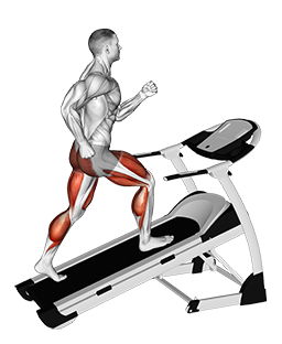 Walking On Incline Treadmill