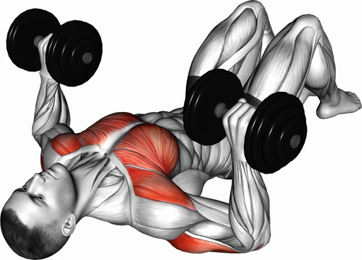 Floor Press (Dumbbell)