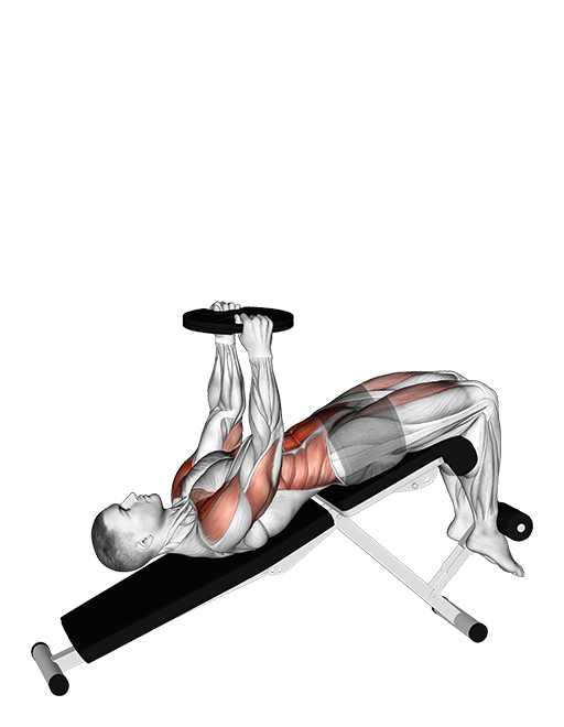 Decline Sit-Up (Weighted)