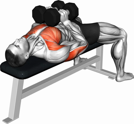 Squeeze Press (Dumbbell)