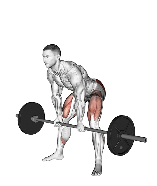 Sumo Romanian Deadlift (Barbell)