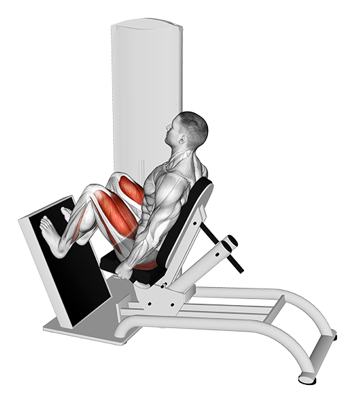 Leg Press - Horizontal, Seated (Machine)