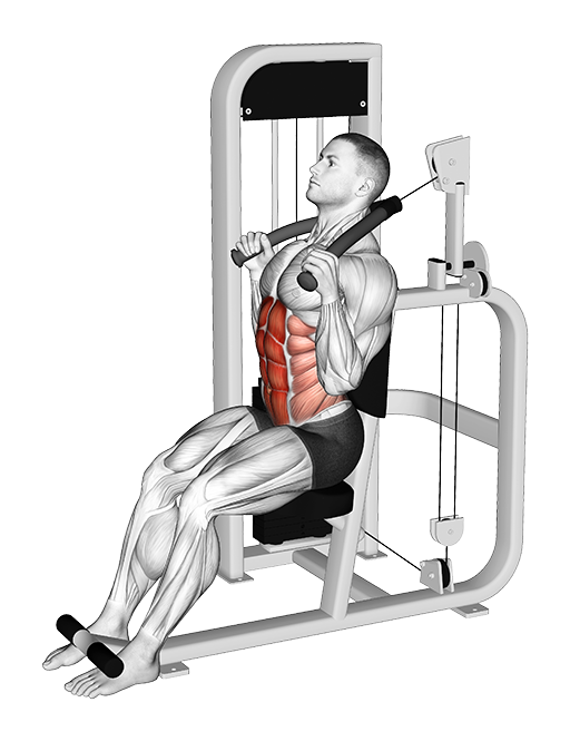 Seated Full Crunch (Machine)
