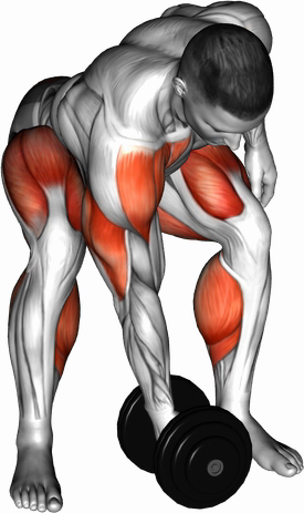 Snatch (Dumbbell)