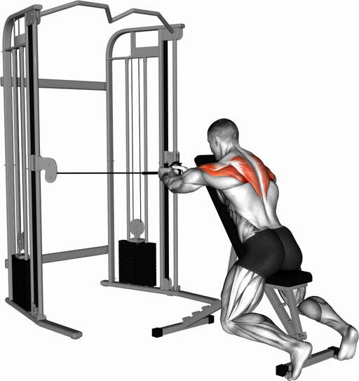 Rear Delt Fly - Chest Supported (Cable: Seated)