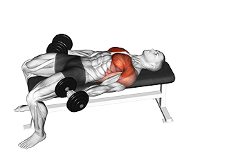 Flat Around The World (Dumbbell)