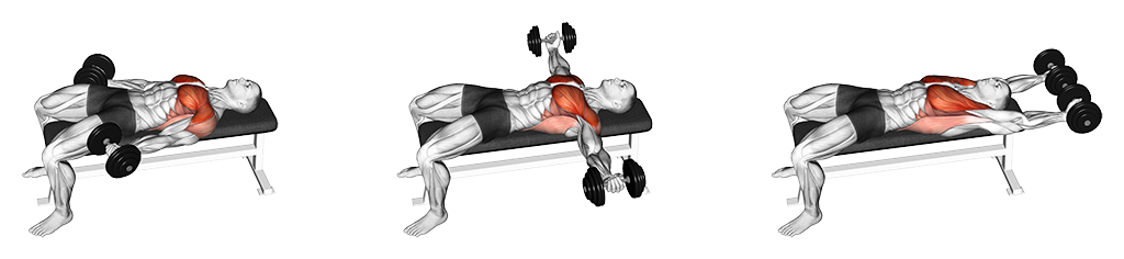 Flat Around The World (Dumbbell)