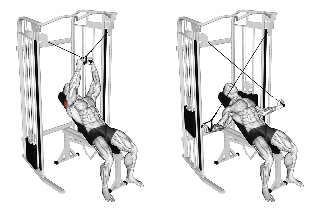 Incline Cross Rear Fly (Cable)