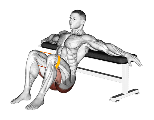 Resistance Hip Thrusts (Band)