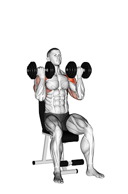 Arnold Press - Alternate (Dumbbell)