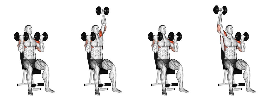 Arnold Press - Alternate (Dumbbell)