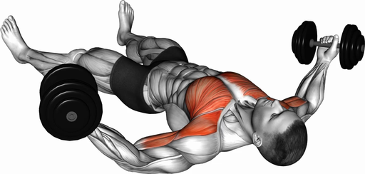 Floor Fly (Dumbbell)