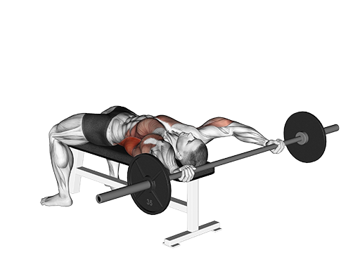 Pullover - Wide (Barbell)
