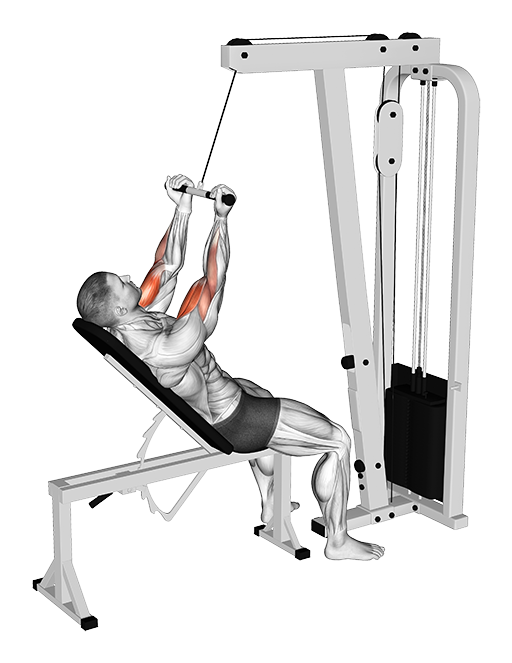 Incline Biceps Curl - Close Grip (Cable)