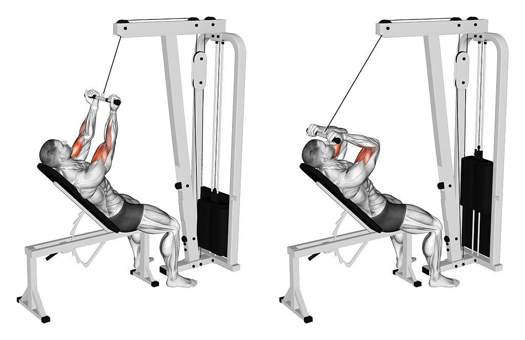 Incline Biceps Curl - Close Grip (Cable)