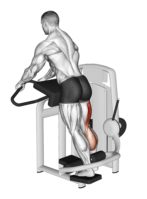 Leg Curl - Standing (Machine)