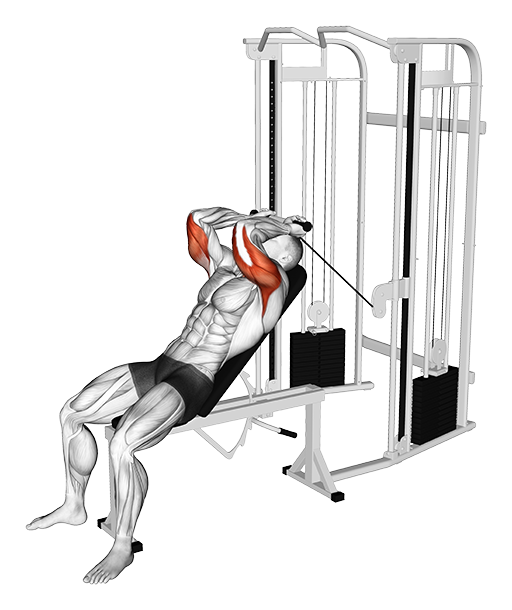 Incline Skullcrusher (Cable)