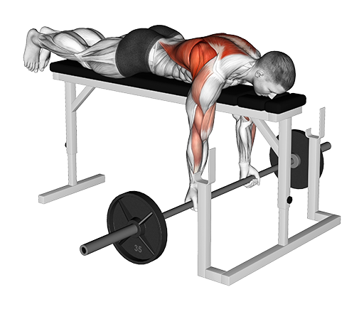 Row - Lying, Reverse (Barbell)
