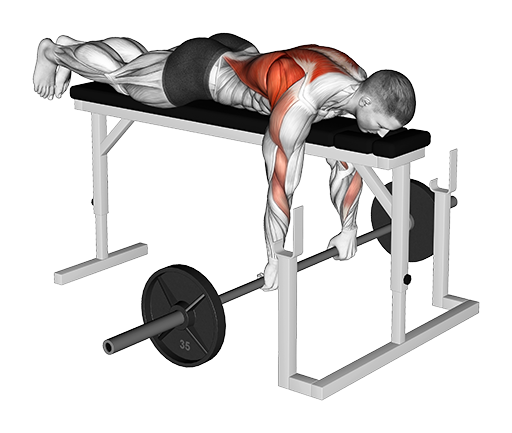 Row - Lying (Barbell)