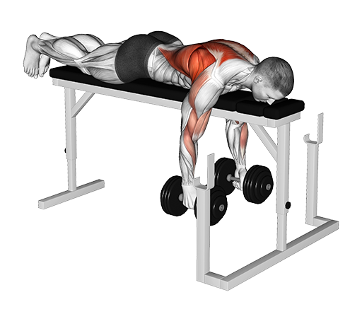 Parallel Row On Rack - Lying, Close-Grip (Dumbbell)
